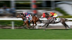 The Most Popular Forms of Horse Racing Betting Today