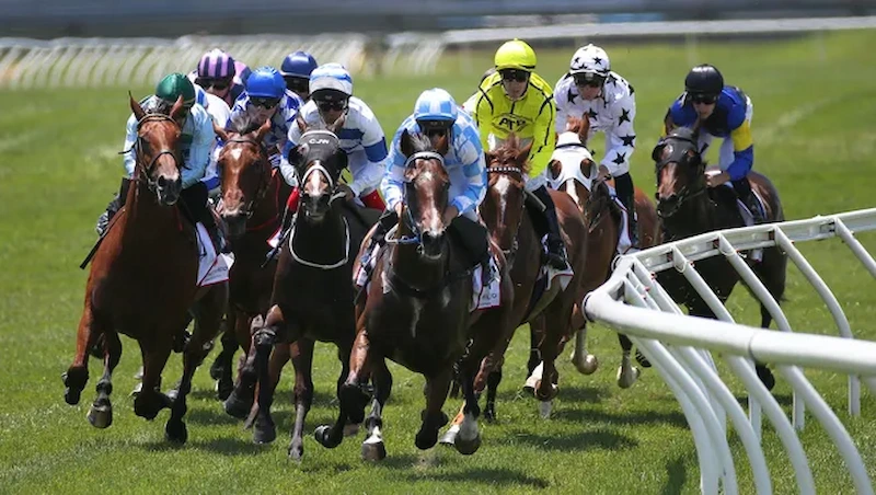 What is Horse Racing Betting?